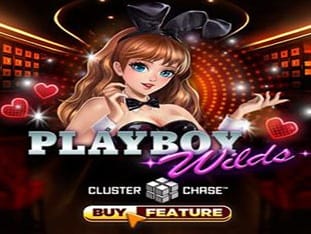 Playboy Wilds